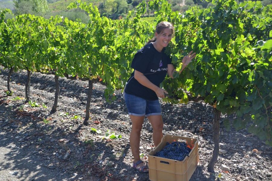 Salou: Easy Bike Tour with Wine Tasting - Should you book the Salou Easy Bike Tour?