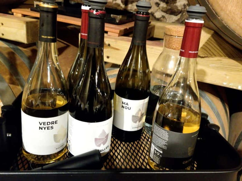 Salou: Priorat tasting Wine-Cellar Tour with hotel pickup - The ride through the Priorat hills