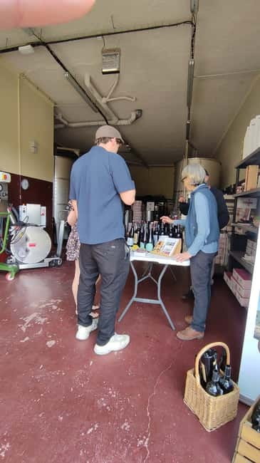 Salou: Priorat tasting Wine-Cellar Tour with hotel pickup - The wine itself and the value of expert guidance