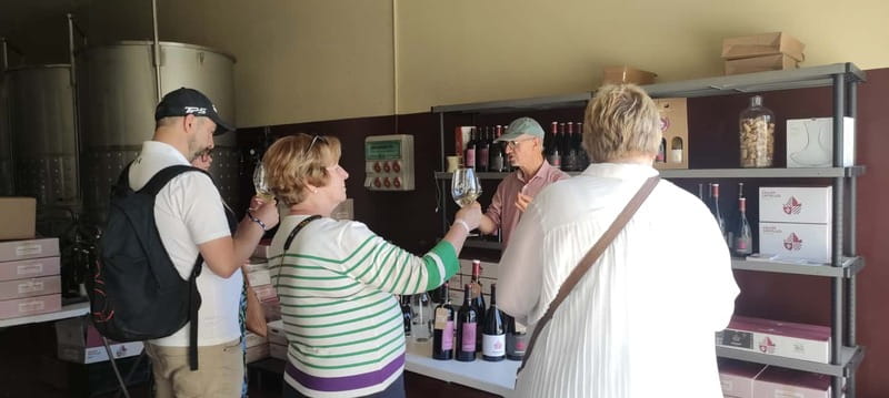 Salou: Priorat tasting Wine-Cellar Tour with hotel pickup - Food is not included, so plan ahead