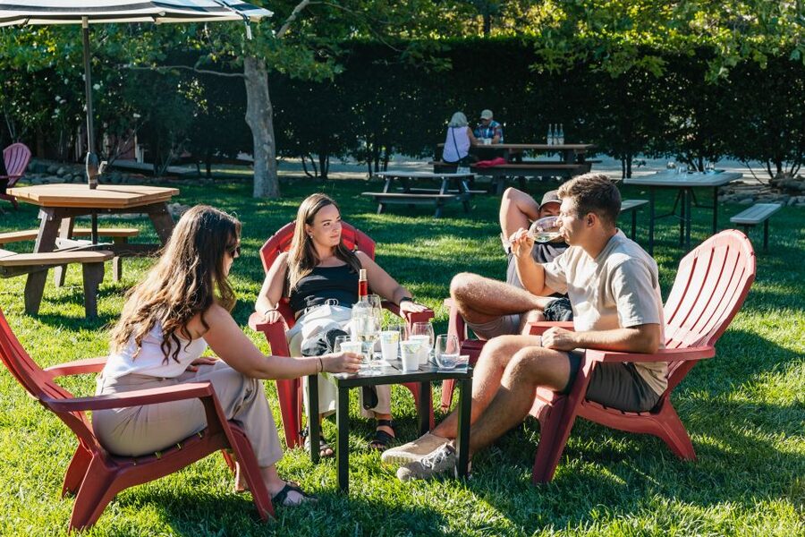 San Francisco: Half-Day Wine Country Excursion with Tastings - The Coach, Group Size, and Guide Quality