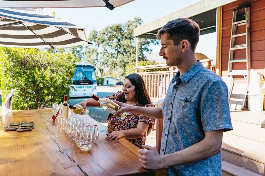 San Francisco: Half-Day Wine Country Excursion with Tastings - Practical Advice Before You Go