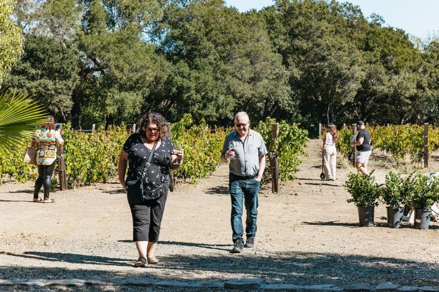 San Francisco: Half-Day Wine Country Excursion with Tastings - Should You Book It?