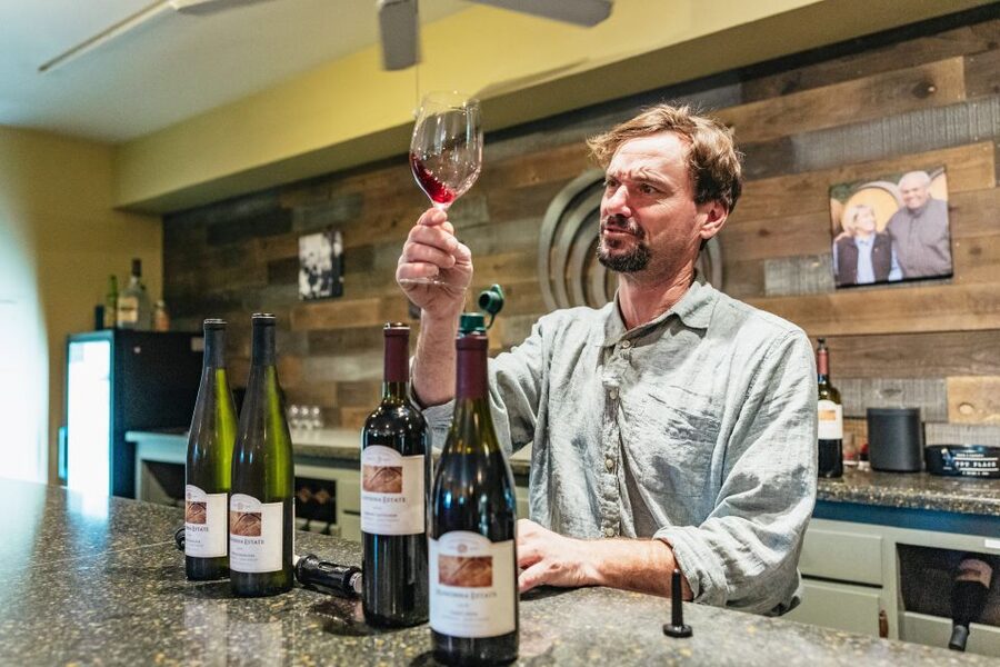San Francisco: Half-Day Wine Country Excursion with Tastings - Two Wineries, Two Different Kinds of Visits