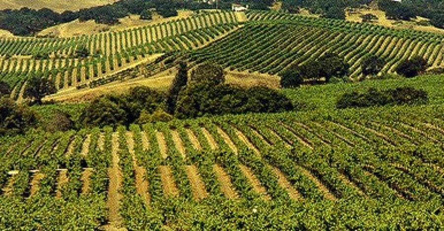 San Francisco: Half-Day Wine Country Tour with Wine Tastings - Key Things To Know Before You Go