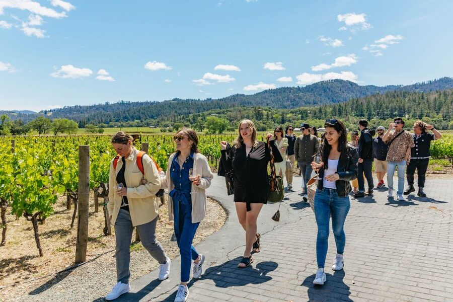 San Francisco: Luxury Small-Group Wine Tour of Napa Valley - Should you book it?