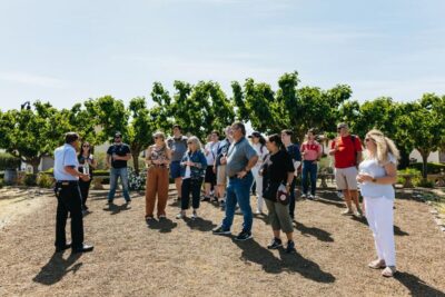 San Francisco: Muir Woods, Napa & Sonoma Valley Wine Tour