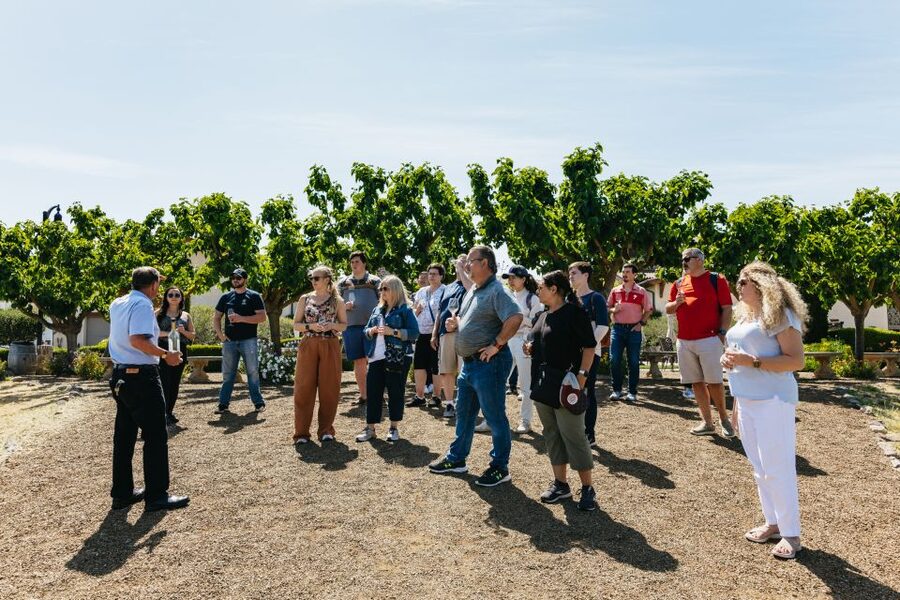 San Francisco: Muir Woods, Napa & Sonoma Valley Wine Tour - Muir Woods: a short walk among giant redwoods