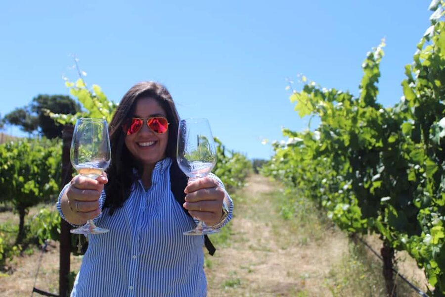 San Francisco: Napa and Sonoma Valley Wine Tour - Key points before you book