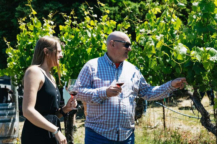 San Francisco: Napa and Sonoma Valley Wine Tour - Who will enjoy this tour most?