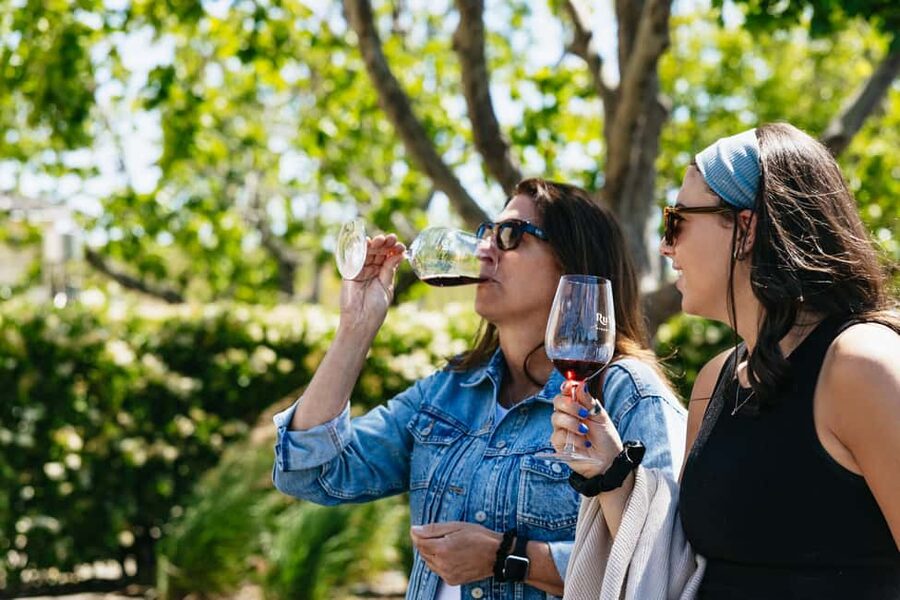San Francisco: Napa and Sonoma Valley Wine Tour - The morning begins with San Francisco views