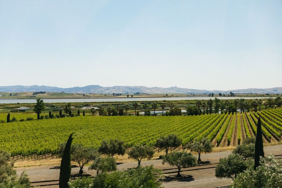 San Francisco: Napa and Sonoma Valley Wine Tour - The third winery finishes the tasting circuit