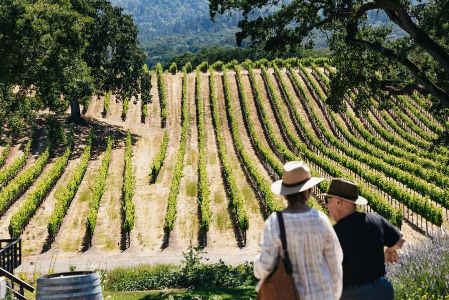 San Francisco: Napa and Sonoma Valley Wine Tour - A quick Golden Gate Bridge photo stop