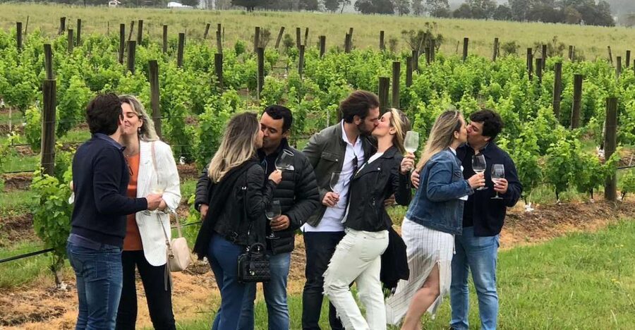 San Francisco: Napa Valley Half-Day Wine Tour with Tastings - Key points to know before you book