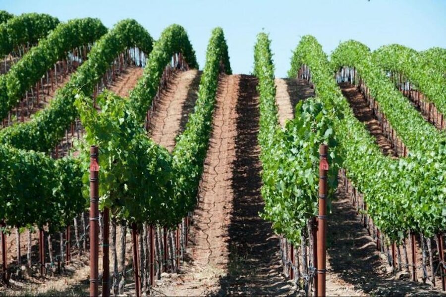 San Francisco: Napa Valley Half-Day Wine Tour with Tastings - Leaving San Francisco over the Golden Gate Bridge