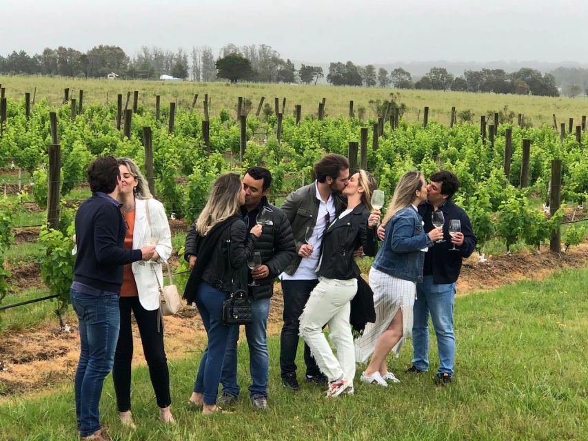 San Francisco: Napa Valley Half-Day Wine Tour with Tastings - What the six-hour schedule really gives you