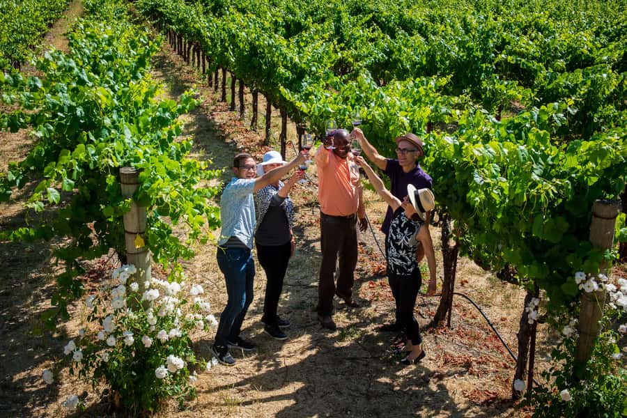 San Francisco: Redwood & Wine Country Tour with Lunch & Wine - The final tasting stops in Sonoma Valley