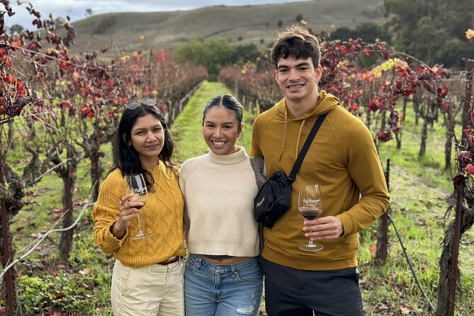 San Francisco Super Saver: Muir Woods & Wine Country w/ optional Gourmet Lunch - Sonoma Plaza gives you room to choose lunch