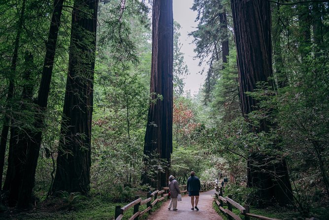 San Francisco Super Saver: Muir Woods & Wine Country w/ optional Gourmet Lunch - The final Golden Gate view