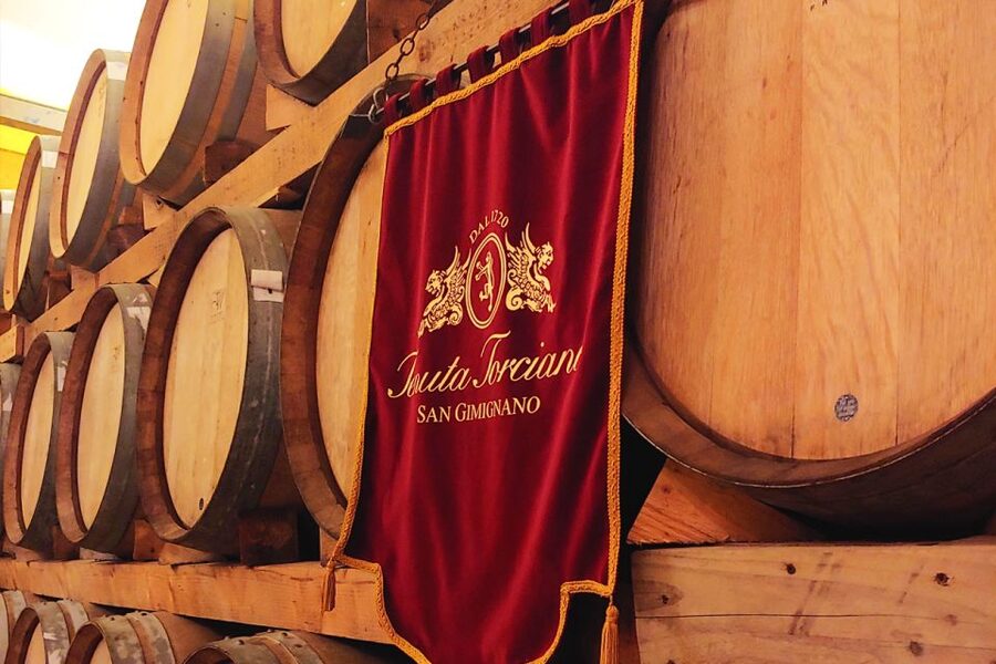 San Gimignano: Lunch or Dinner at a Winery with Wine Tasting - Who should book this experience?