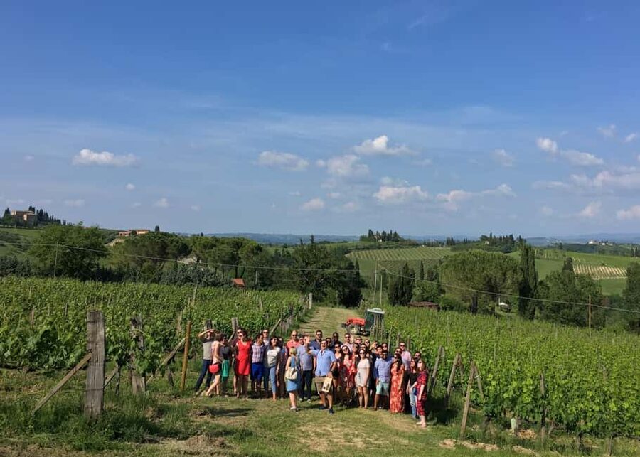 San Gimignano: Premium Wine Tour with Lunch - Five things to know before booking