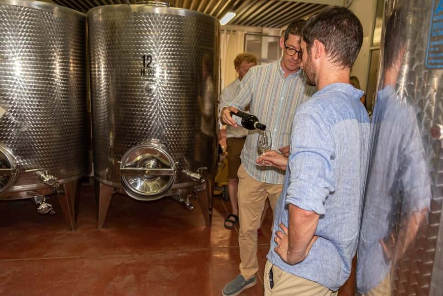San Gimignano: Premium Wine Tour with Lunch - Should you book Tenuta Guardastelle?