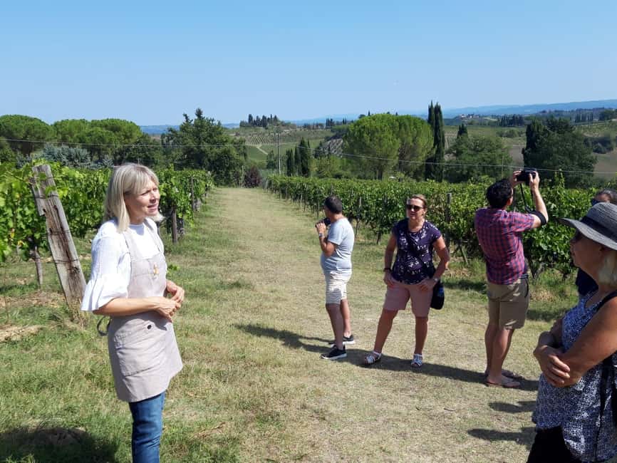 San Gimignano: Premium Wine Tour with Lunch - Starting at Tenuta Guardastelle outside San Gimignano