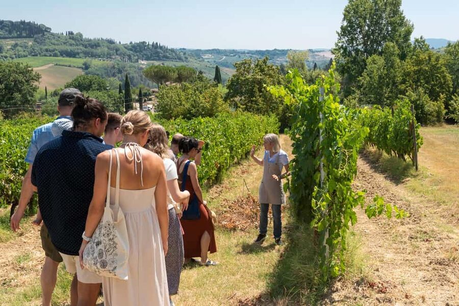 San Gimignano: Premium Wine Tour with Lunch - Five Tuscan wines, from Vernaccia to Supertuscan