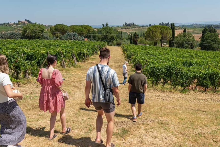 San Gimignano: Premium Wine Tour with Lunch - Olive oil and local products add real value