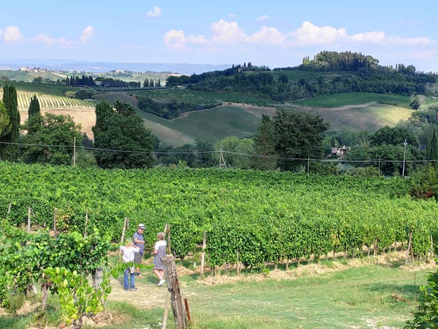 San Gimignano: Premium Wine Tour with Lunch - A 2.5-hour schedule that stays focused