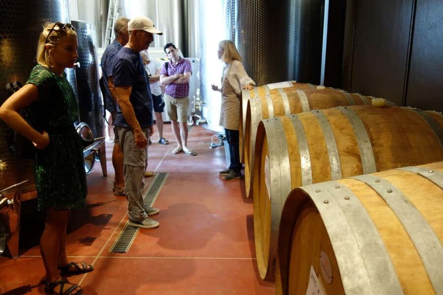 San Gimignano: Premium Wine Tour with Lunch - Who will enjoy this wine tour most?