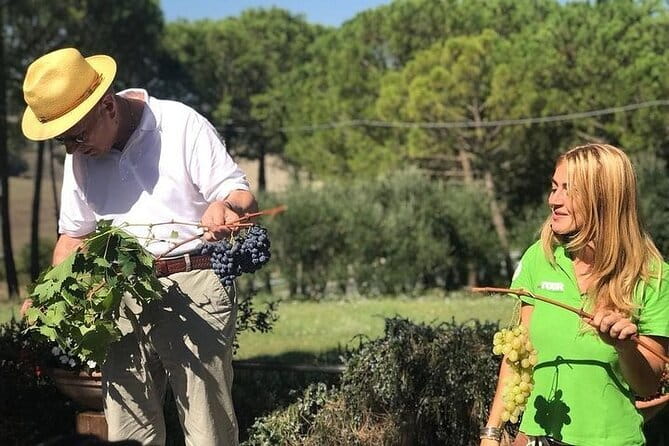 San Gimignano, Siena, Monteriggioni: Fully Escorted Tour, Lunch & Wine Tasting - Group size, languages, and the meeting point