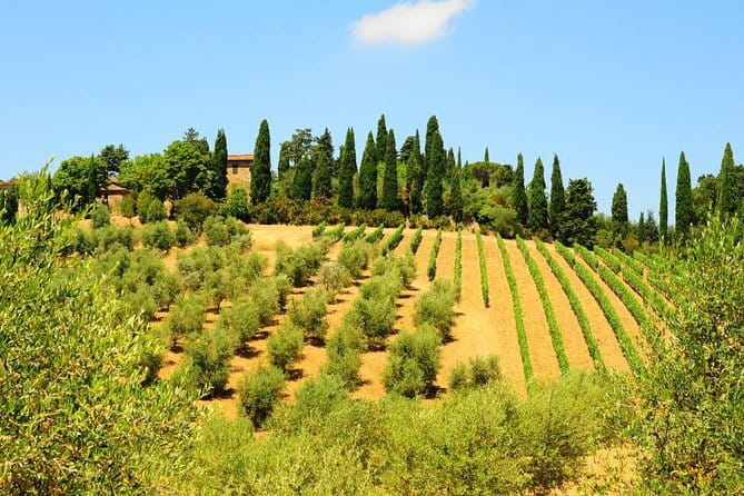 San Gimignano, Siena, Monteriggioni: Fully Escorted Tour, Lunch & Wine Tasting - Monteriggioni: a tiny fortress with a short visit