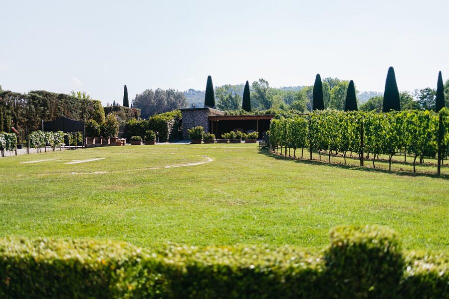 San Gimignano: Tuscan Vineyard Lunch with Wine Tasting - Key Points at a Glance