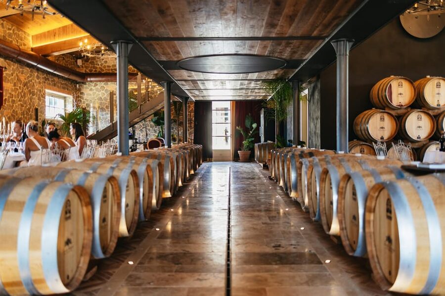San Gimignano: Tuscan Vineyard Lunch with Wine Tasting - Practical Comfort Tips for the Two-Hour Visit
