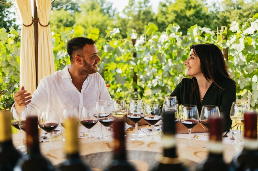 San Gimignano: Tuscan Vineyard Lunch with Wine Tasting - A Tuscan Lunch Surrounded by Vineyards