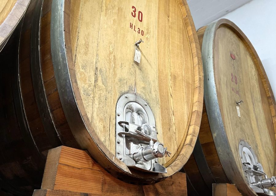 San Gimignano: Vineyard and Cellar Tour with Wine Tasting - Farm foods that make the wine matter