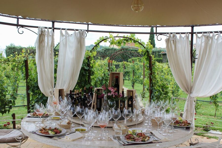 San Gimignano: Vineyard Walk with Wine Tasting in winery - Who will enjoy this visit most?