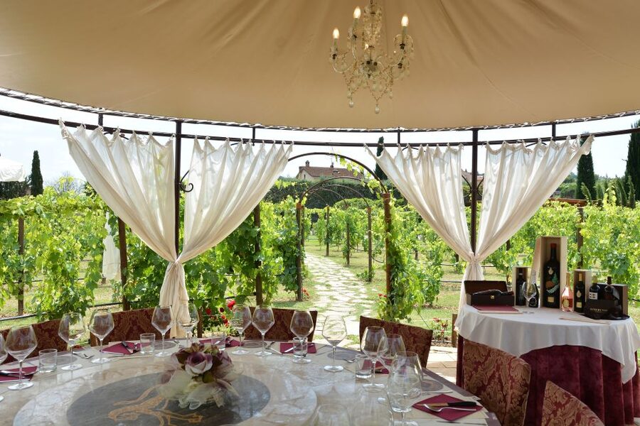 San Gimignano: Vineyard Walk with Wine Tasting in winery - Practical advice before you go