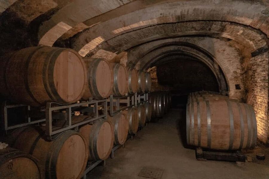 San Gimignano: Wine and Food Tasting in a Family Winery - Timing, group size, and practical comfort