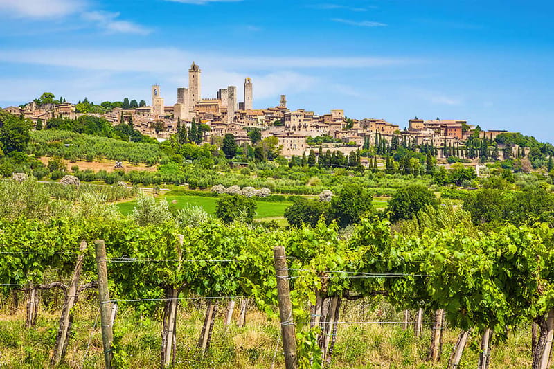 San Gimignano: Wine and Oil Tasting with Tuscan Appetizers - Tuscan appetizers make this feel like lunch, but do not expect lunch