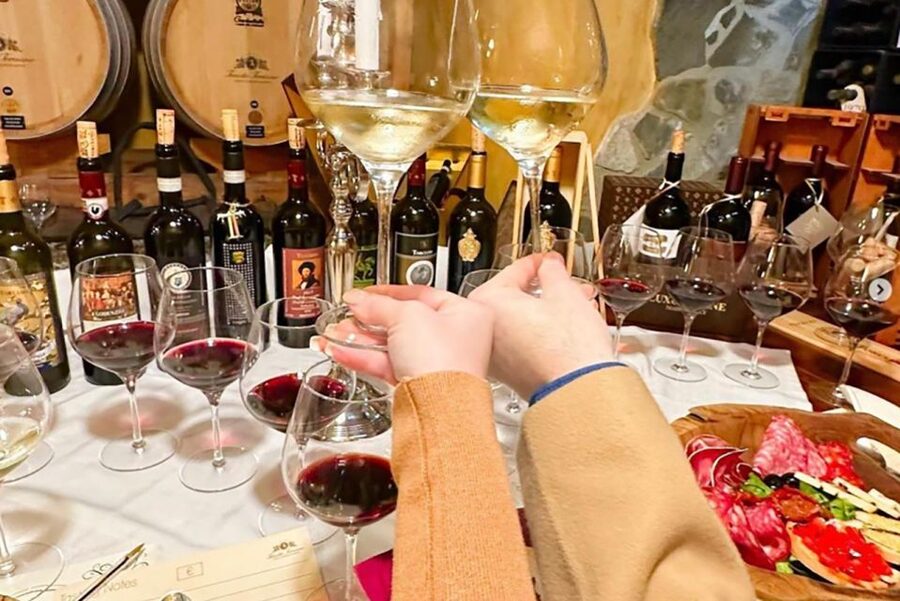 San Gimignano: Wine and Oil Tasting with Tuscan Appetizers - The view is part of what you are paying for