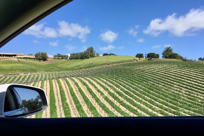 Santa Barbara Small-Group Wine Tour to Private Estates & Wineries - Why the private winery format matters