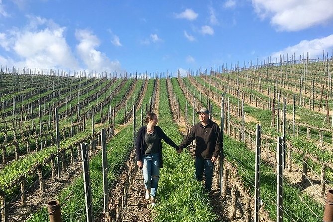 Santa Barbara Small-Group Wine Tour to Private Estates & Wineries - Lunch at a vineyard, not just a box in the van