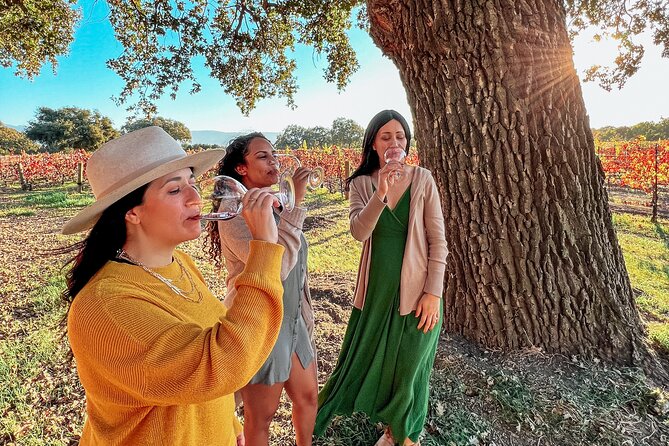 Santa Ynez Wine Tour (All-Inclusive) - Lunch among the vines