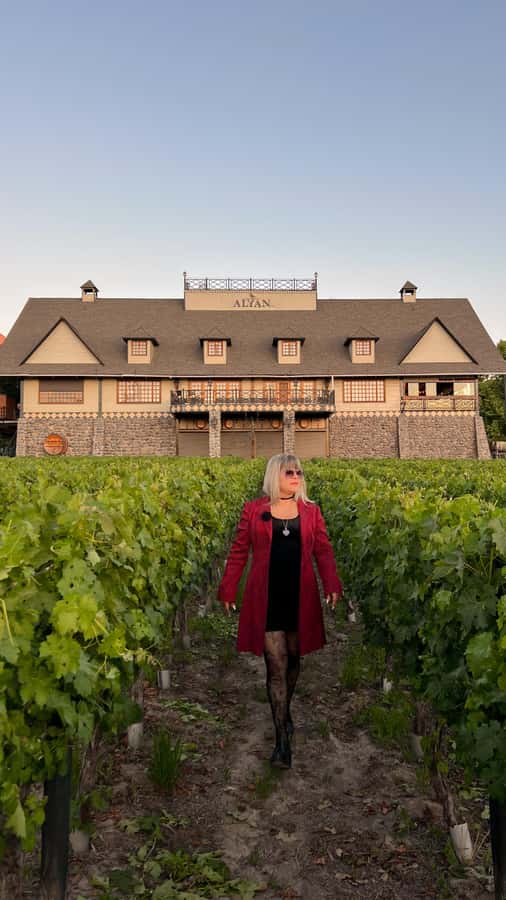 Santiago: Alyan Winery Sunset with Wine Tastings and Dinner - Why Alyan works as a Santiago wine escape