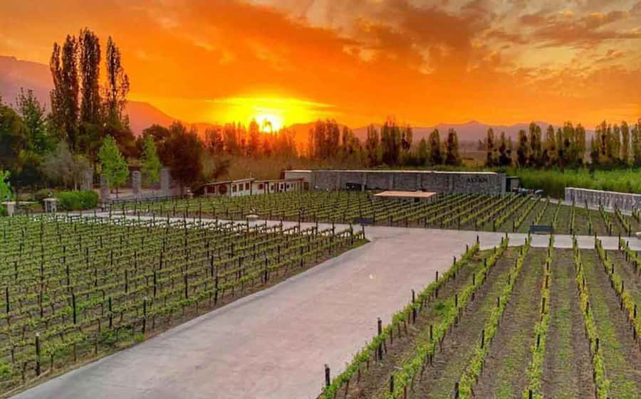 Santiago: Alyan Winery Sunset with Wine Tastings and Dinner - Three or four wines in changing settings