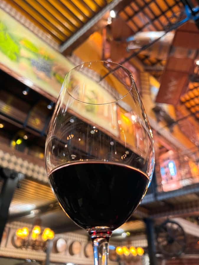 Santiago: Alyan Winery Sunset with Wine Tastings and Dinner - Is $111 a fair price?