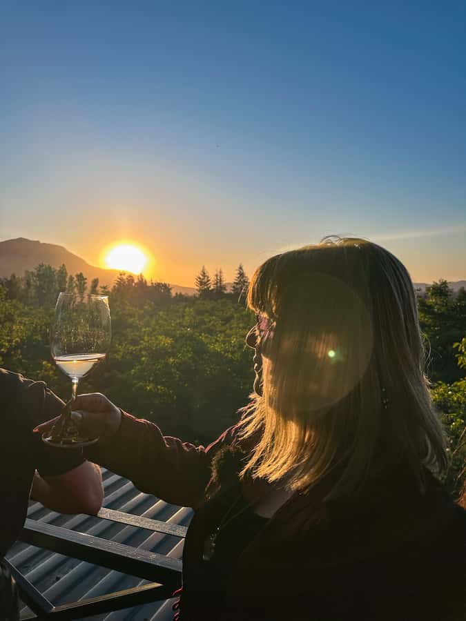 Santiago: Alyan Winery Sunset with Wine Tastings and Dinner - Who should book this winery afternoon?