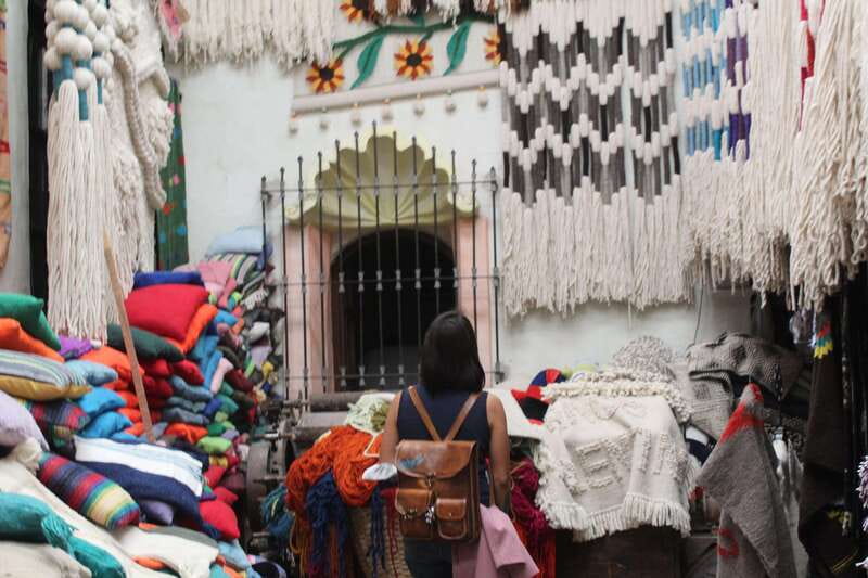 Santiago de Querétaro: Pueblos Mágicos Cheese and Wine Route - Language, comfort, and the pace of the van
